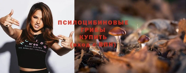 ECSTASY Абаза