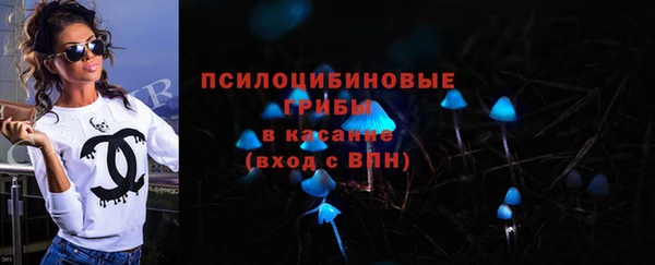 ECSTASY Абаза
