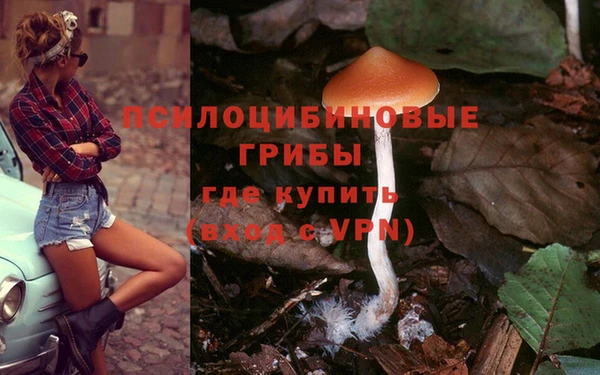 ECSTASY Абаза