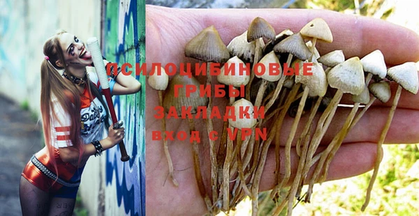 тгк Абдулино