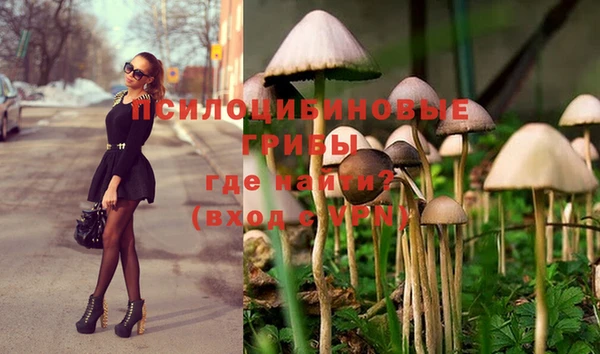 ECSTASY Абаза