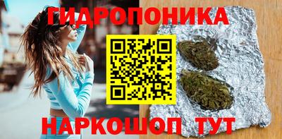 a pvp Абакан