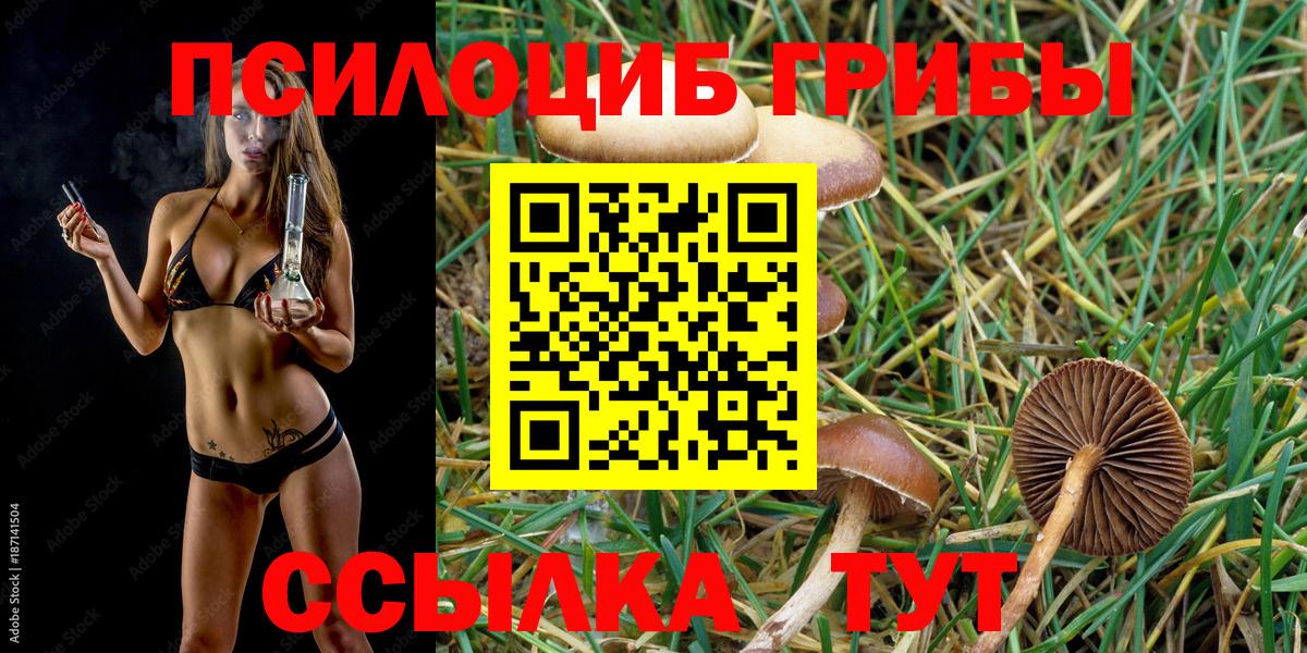 купить наркоту  Галлюциногенные грибы Magic Shrooms  Вход с VPN  Вологда 