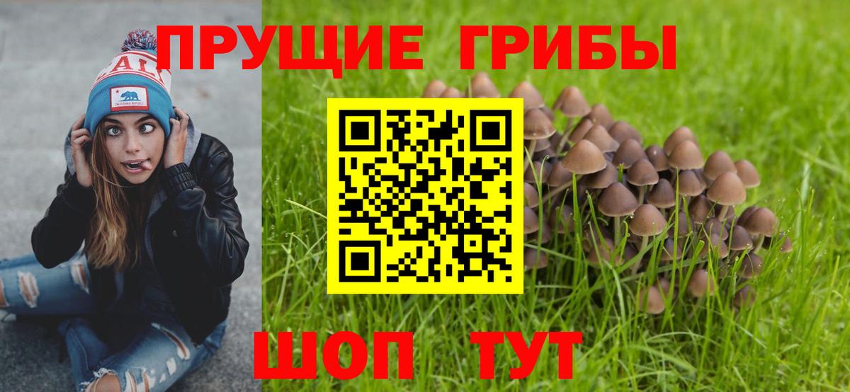 Псилоцибиновые грибы Psilocybine cubensis  Вход с VPN  Вологда  Псилоцибиновые грибы ЛСД 