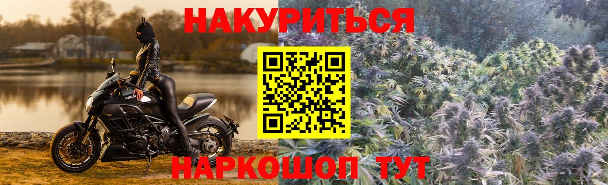 Бошки Шишки план  Марихуана семена  Вход с VPN  Вологда 